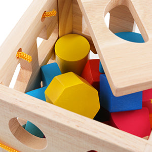 KidsAdventure™ - Montessori Shape Cube